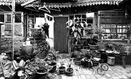 IMG_6795