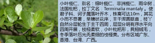 无标题